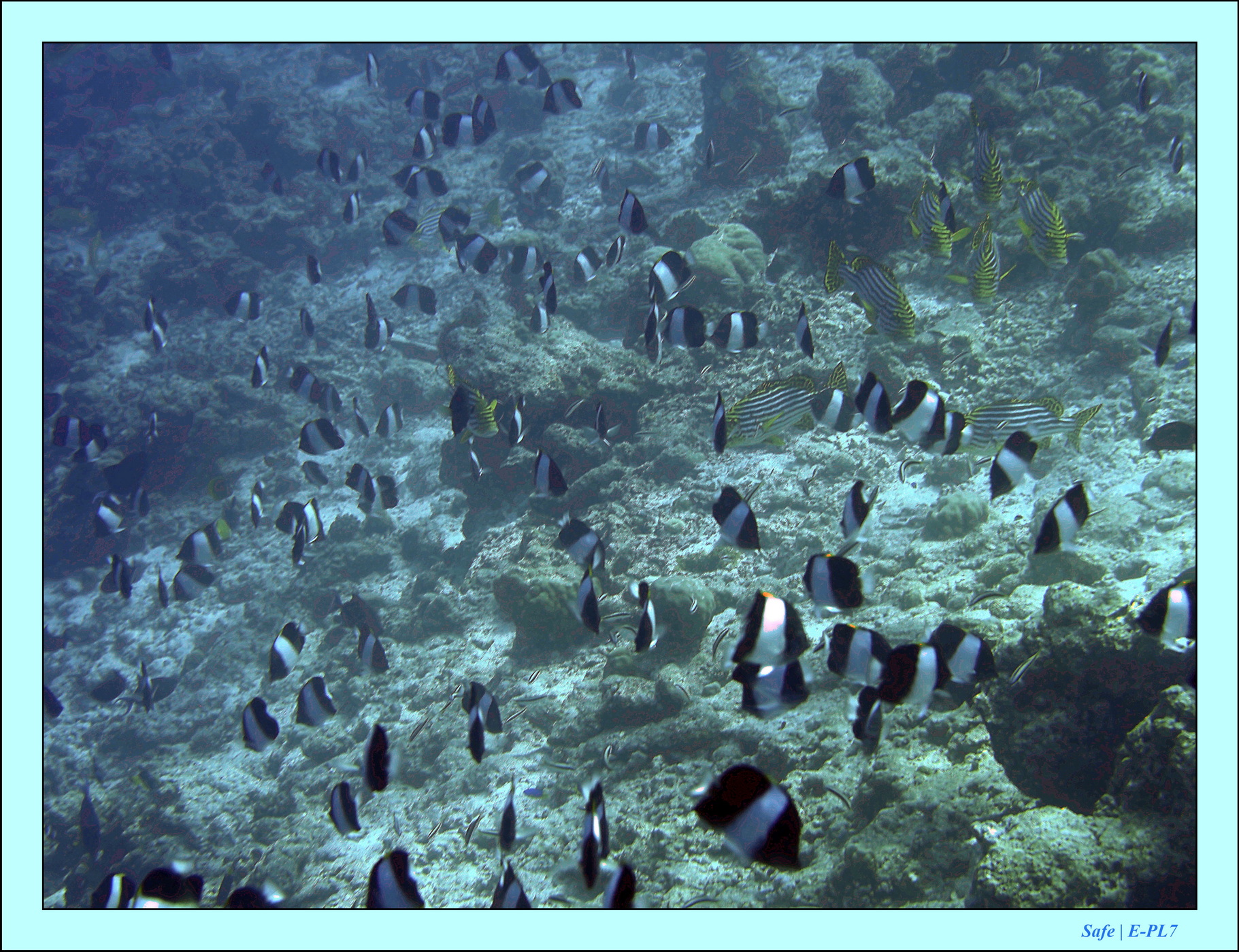 2023 - 07 - Sandies Bathala - 104